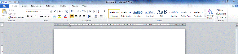 Microsoft Word 2010